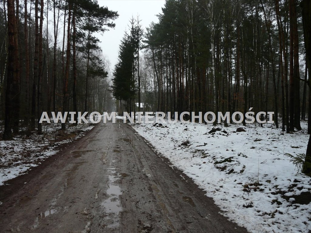 Działka leśna na sprzedaż Skierniewice, Borowiny  9 813m2 Foto 17