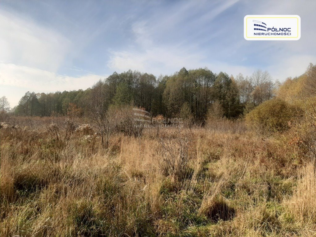 Działka rolna na sprzedaż Ostrów  6 806m2 Foto 1