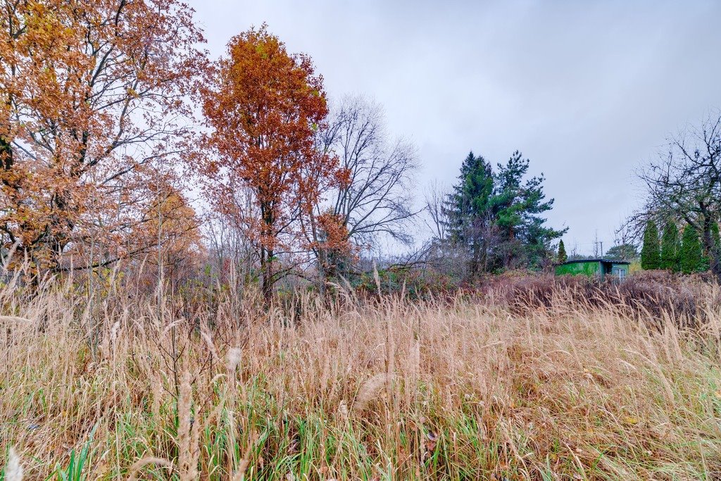 Działka budowlana na sprzedaż Porąb  2 446m2 Foto 6