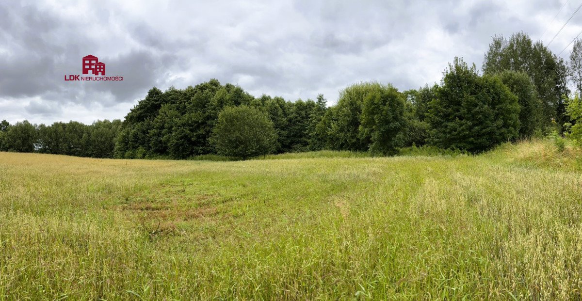 Działka siedliskowa na sprzedaż Mierzeszyn, Gdańska  16 681m2 Foto 4