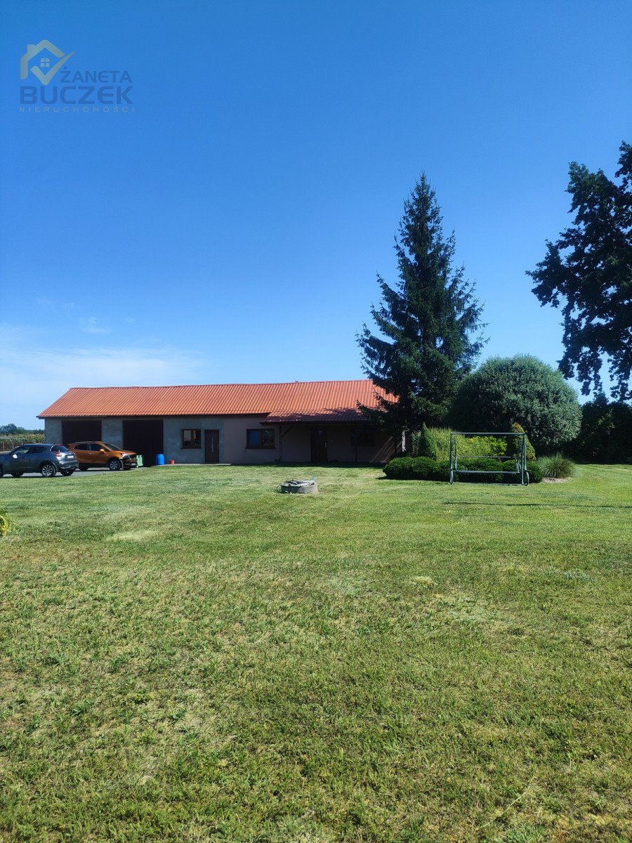 Gospodarstwo 14 ha z sadami, budynkami i infrastrukturą Aleksandria  140 000m2 Foto 1