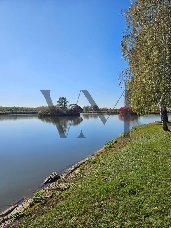 Działka budowlana na sprzedaż Busko-Zdrój  72 000m2 Foto 9