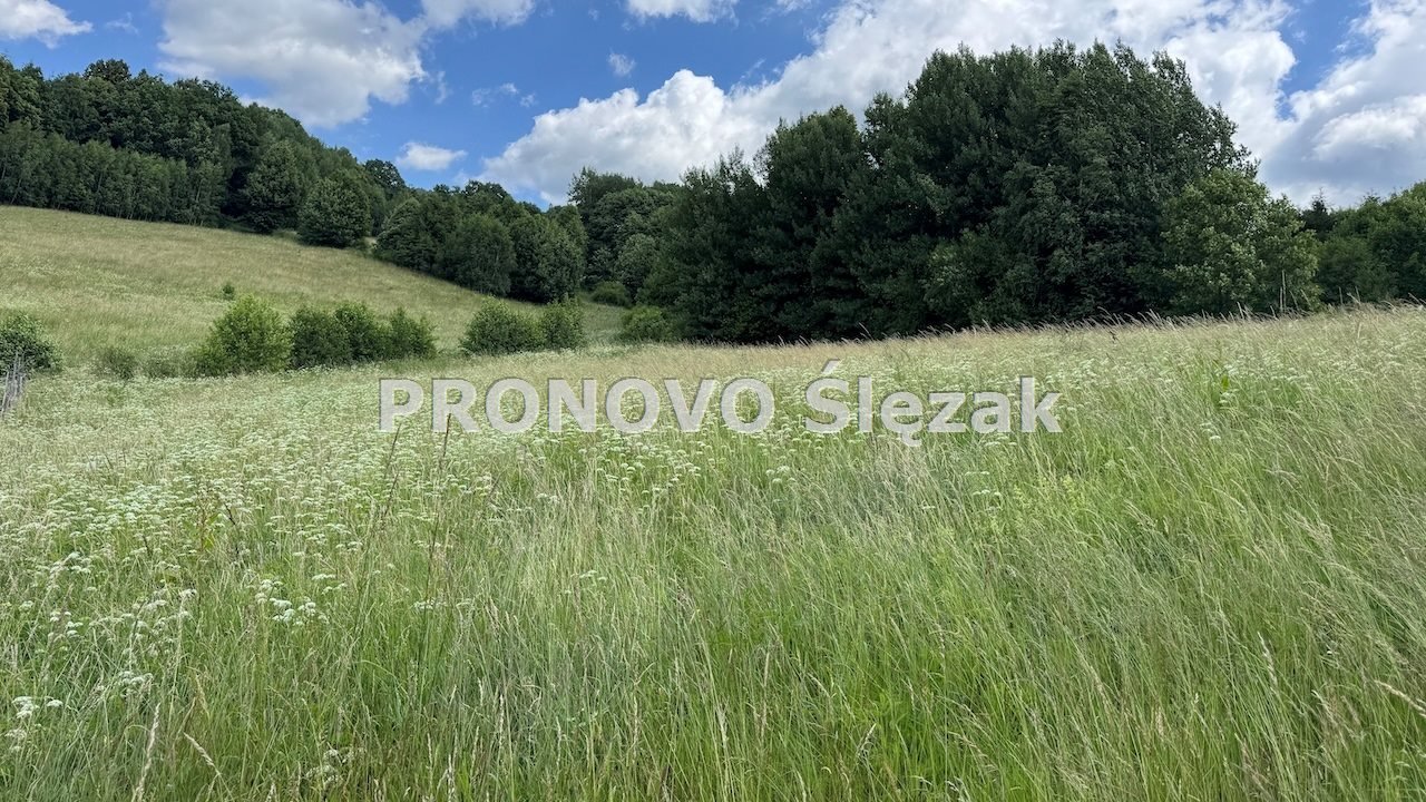 Działka 1776 m² z widokiem, blisko jeziora i szlaków Michałkowa, Michałkowa  1 776m2 Foto 1