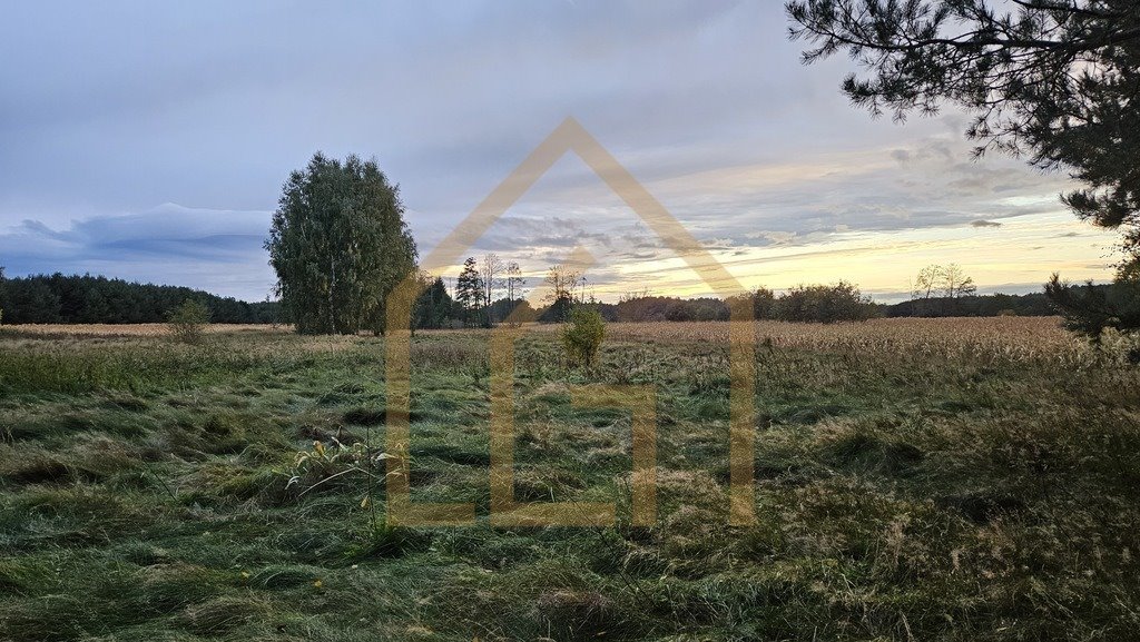 Sprzedam działkę 2,18 ha z lasem, media, A2, Bełchów Bełchów  21 800m2 Foto 1