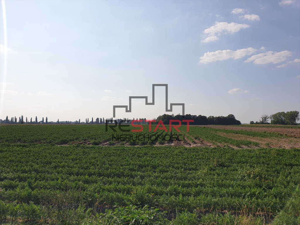 Działka rolna na sprzedaż Żuków  32 900m2 Foto 1