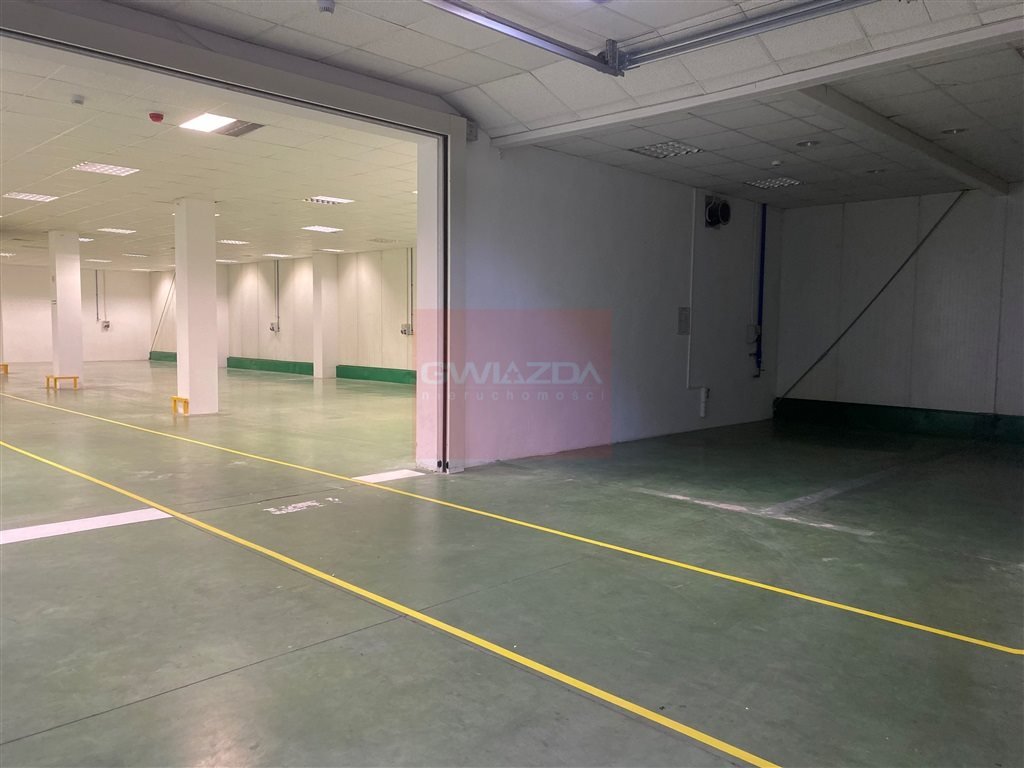 Lokal użytkowy na wynajem Piaseczno  800m2 Foto 2