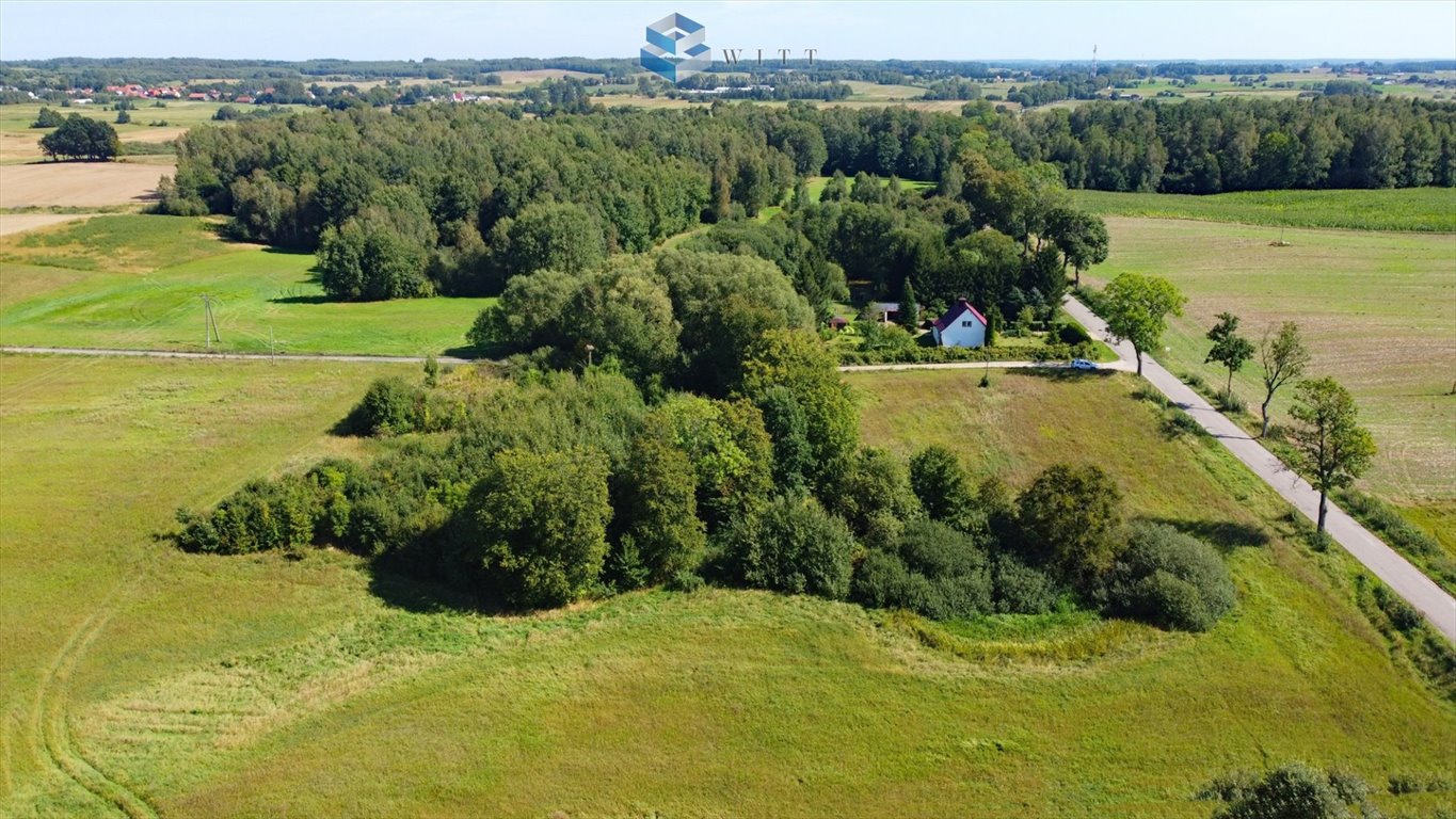 Działka budowlana na sprzedaż Chojnik  5 427m2 Foto 6