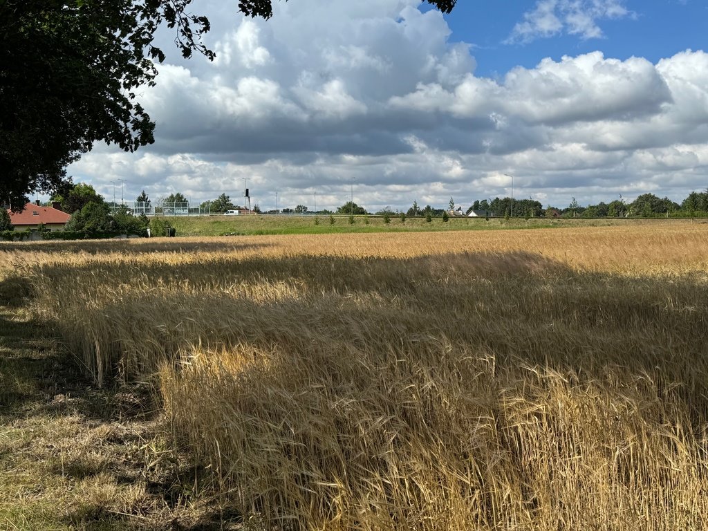 Działka budowlana na sprzedaż Wrocław, Ratyń, Ratyń, Wojska Polskiego  16 796m2 Foto 5