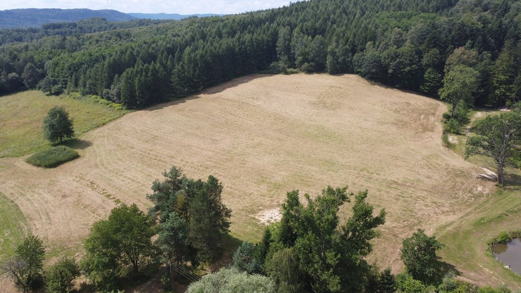 Działka budowlana na sprzedaż Lutcza  107 000m2 Foto 17