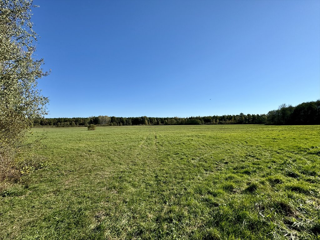 Działka rolna na sprzedaż Leżachów  177 000m2 Foto 3