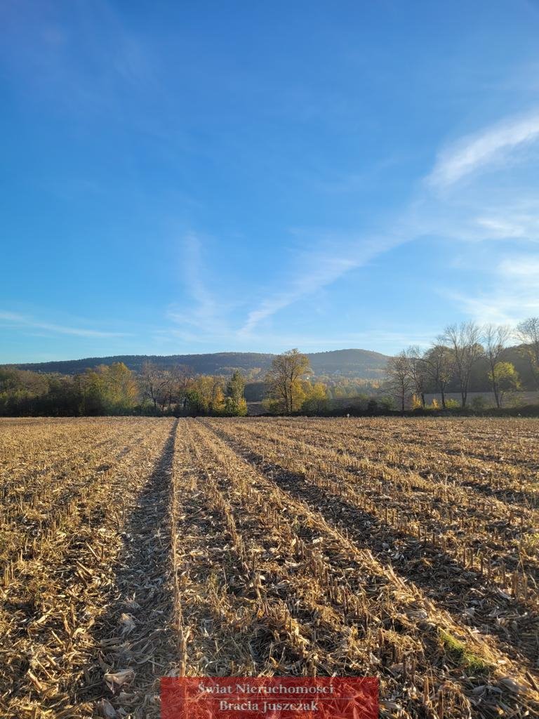 Działka rolna na sprzedaż Będkowice  11 300m2 Foto 3