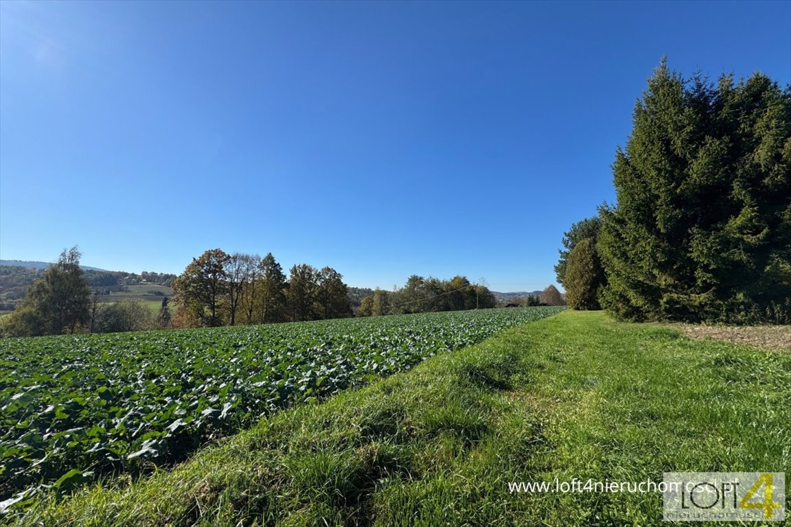 Działka budowlana na sprzedaż Tuchów, Ryglicka  950m2 Foto 1