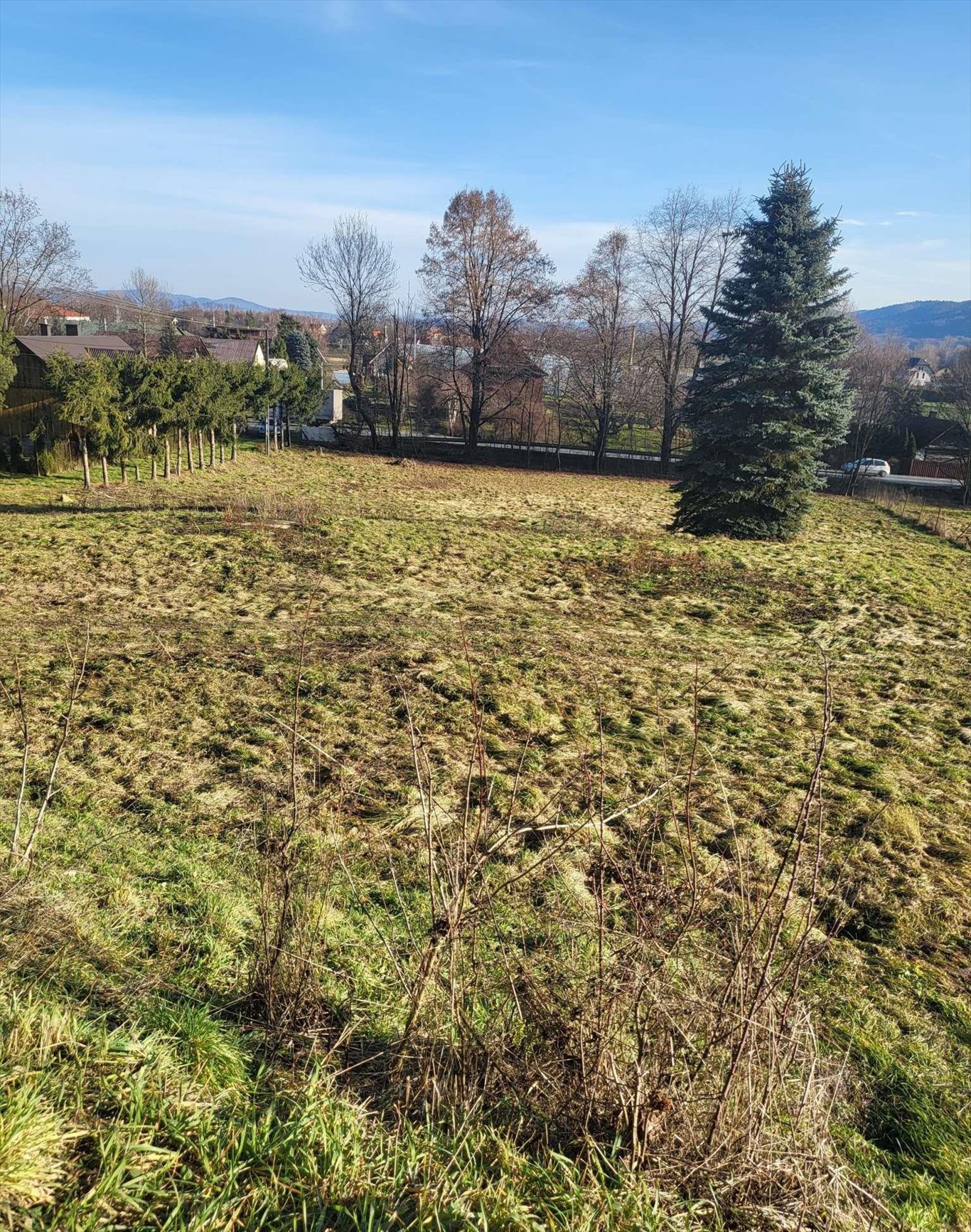 Działka budowlana na sprzedaż Jurków  21 000m2 Foto 5