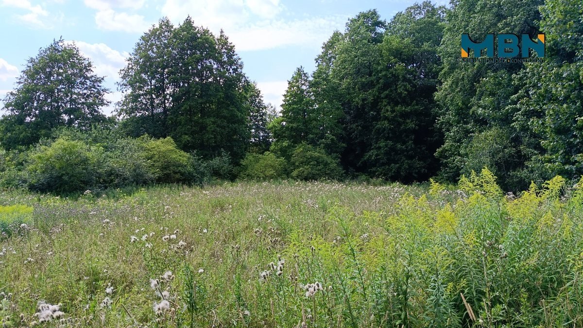 Działka rolna na sprzedaż Pozezdrze, Pieczarki  1 300m2 Foto 6