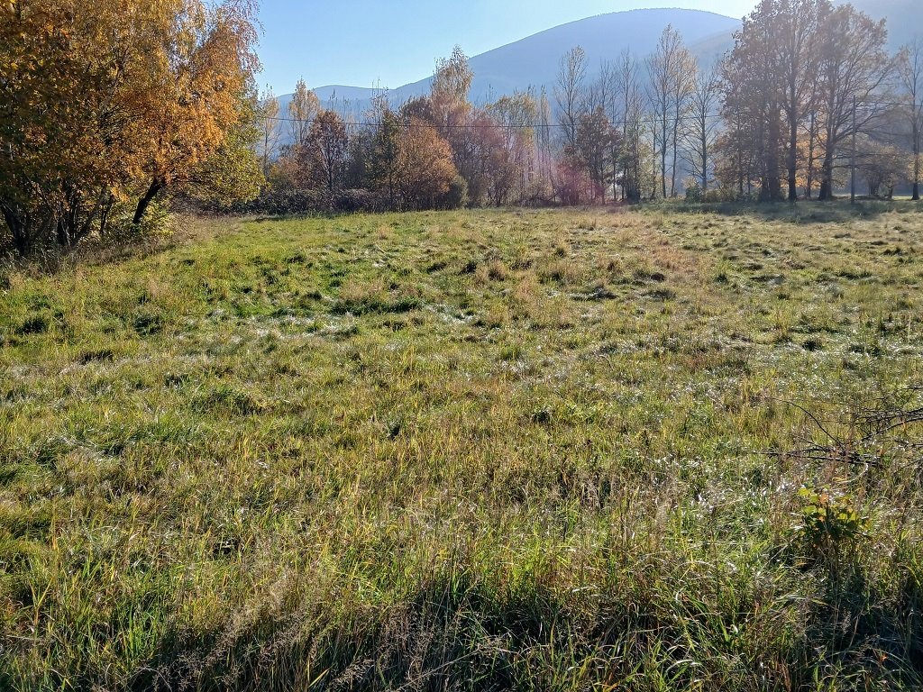 Działka budowlana na sprzedaż Kowary, Tadeusza Rejtana  4 732m2 Foto 7