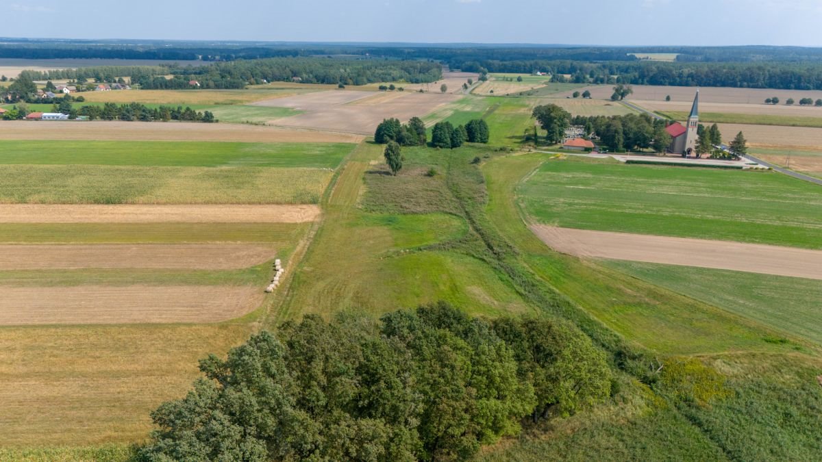 Działka rolna na sprzedaż Sieraków Śląski, Wyzwolenia  6 792m2 Foto 12