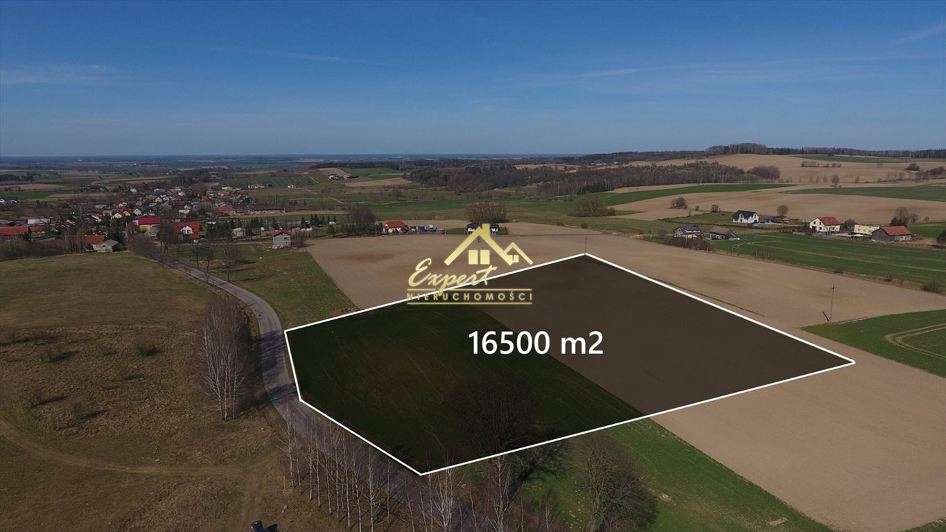 Działka 1,65 ha z mediami i warunkami zabudowy (Pietrzwałd) Pietrzwałd  16 500m2 Foto 1