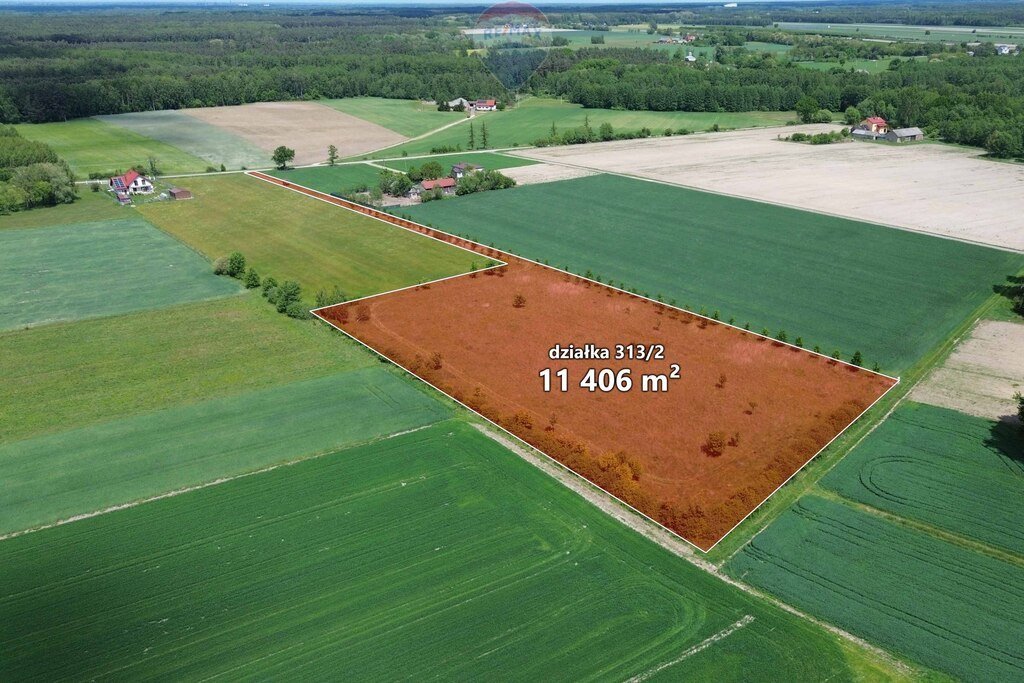 Działka budowlana na sprzedaż Korabiewice  11 406m2 Foto 1