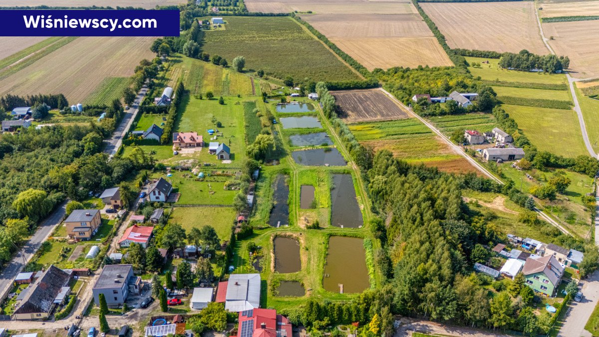 Działka siedliskowa na sprzedaż Miłobądz, Sadowa  8 581m2 Foto 4