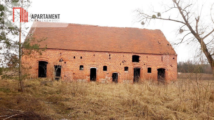 Działka siedliskowa na sprzedaż Gliszcz  4 900m2 Foto 1