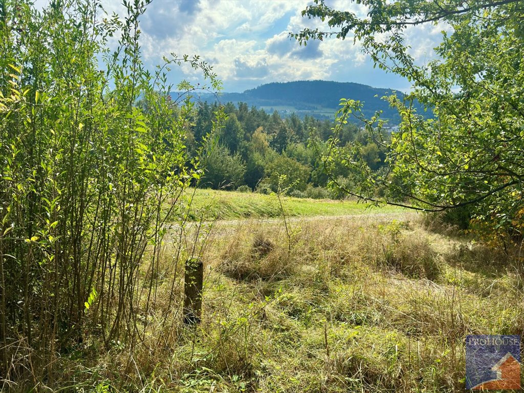 Działka budowlana na sprzedaż Limanowa, Stara Wieś  5 700m2 Foto 8