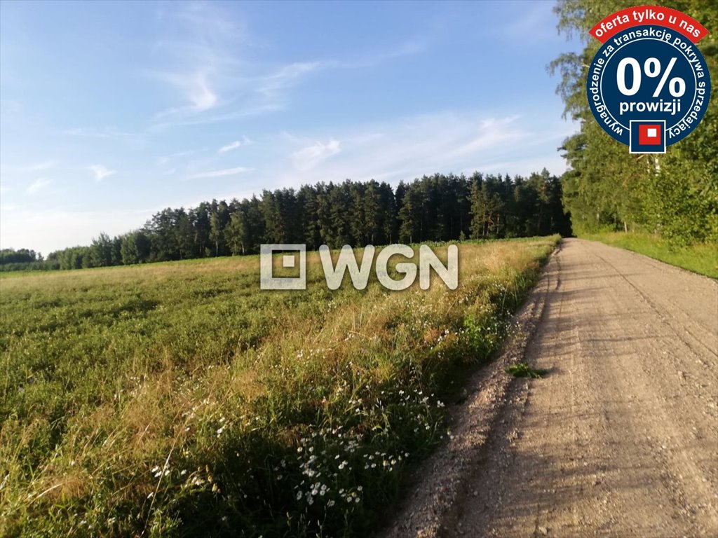 Działka rolna na sprzedaż Grabnik  28 300m2 Foto 3