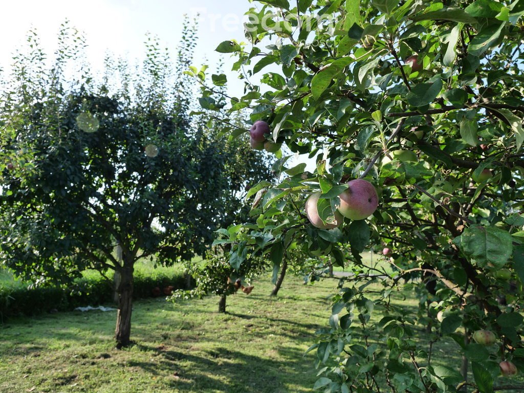 Mieszkanie dwupokojowe na sprzedaż Bukowie Dolne  52m2 Foto 15