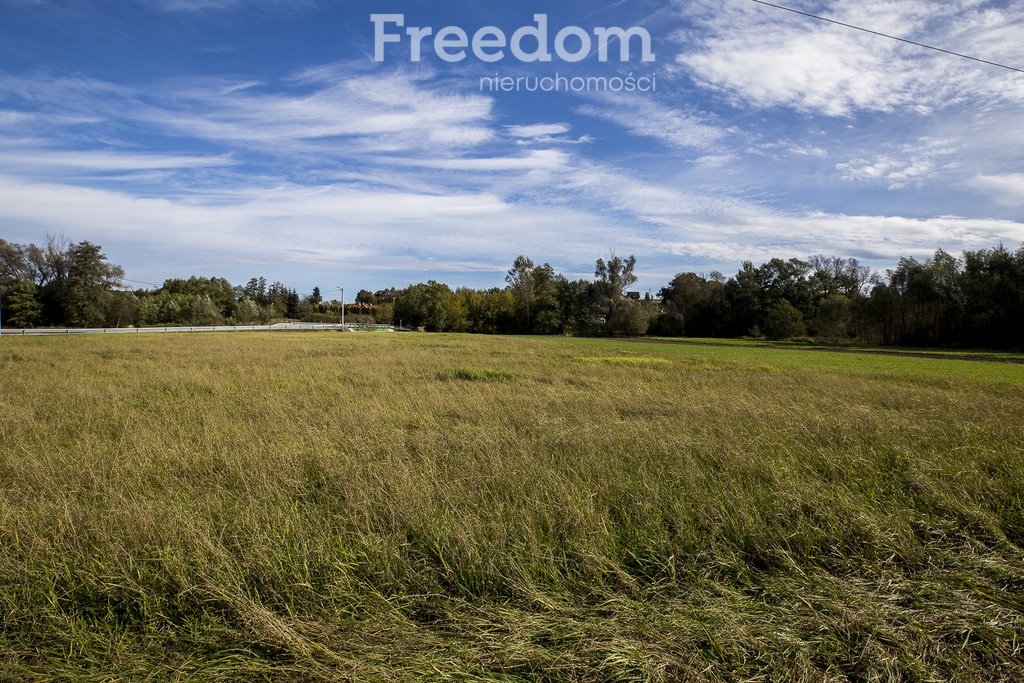 Działka inwestycyjna na sprzedaż Niechobrz  6 000m2 Foto 7