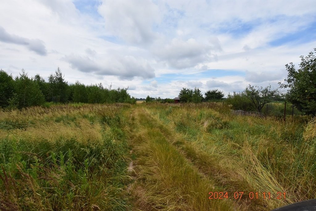 Działka budowlana na sprzedaż Syców, Ferdynanda Ruszczyca  5 041m2 Foto 6