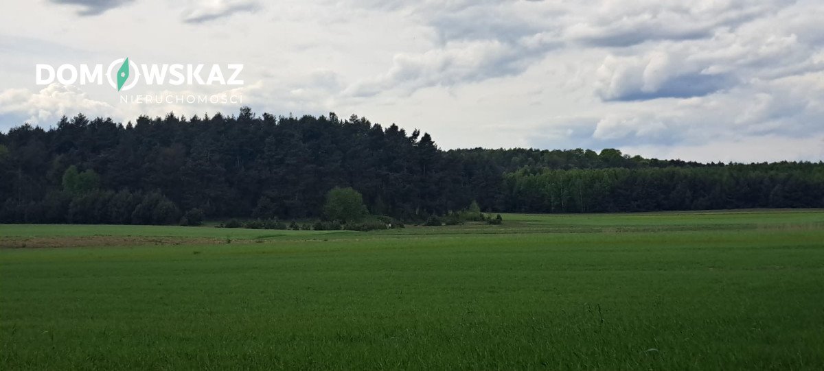 Działka leśna na sprzedaż Ogorzelnik  16 492m2 Foto 2