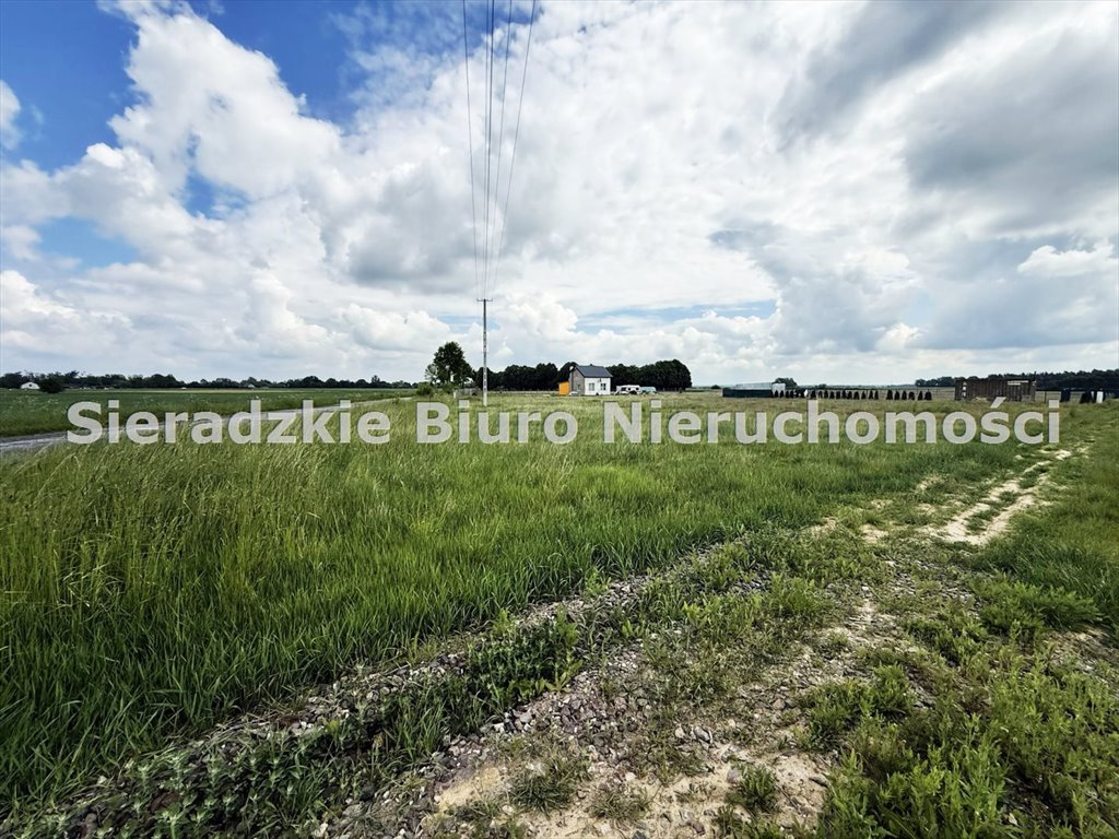 Zdjęcie 2