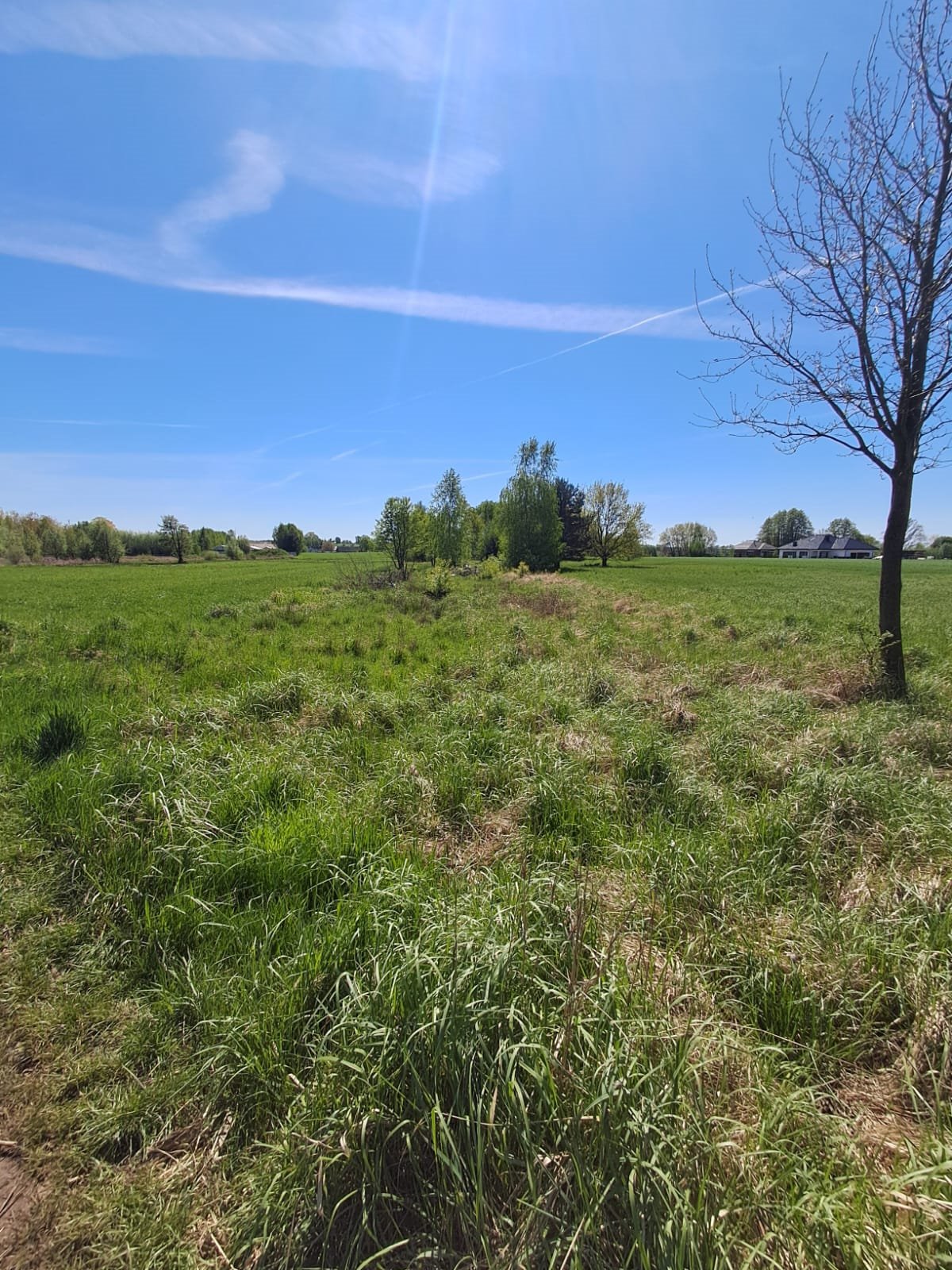 Działka budowlana na sprzedaż Godziesze Wielkie, Borek  2 800m2 Foto 1