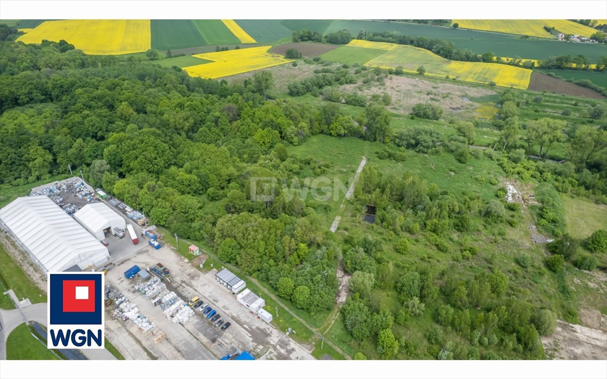 Polecam grunt inwestycyjny 9,2 ha z MPZP, przemysł i usługi Pastuchów, Pastuchów, Krótka  92 284m2 Foto 1