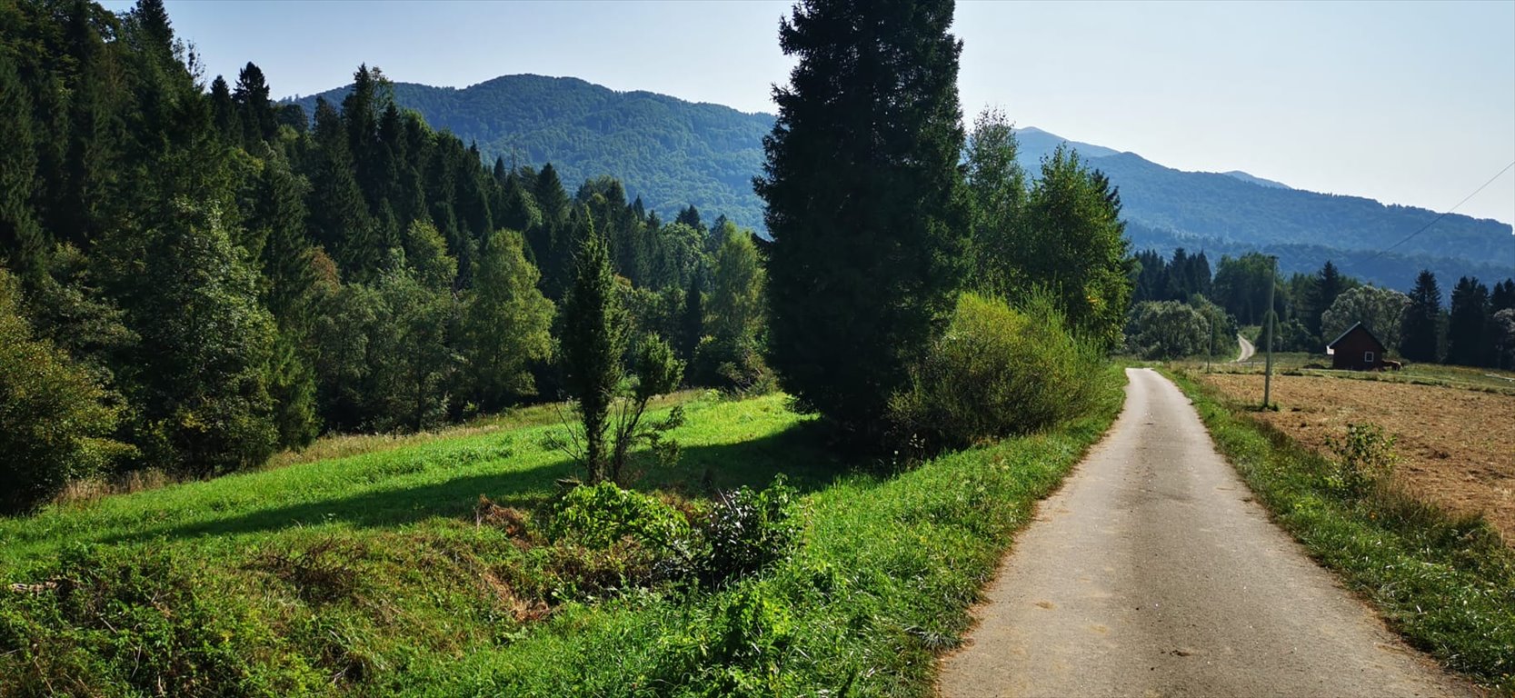 Działka budowlana na sprzedaż Kalnica  5 000m2 Foto 8