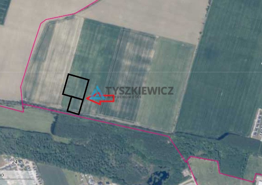 Zdjęcie 3