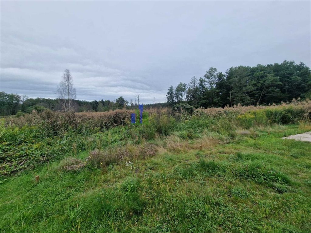 Działki budowlane przy lesie w Nowym Dworze od 130 zł/m² Nowy Dwór  911m2 Foto 1