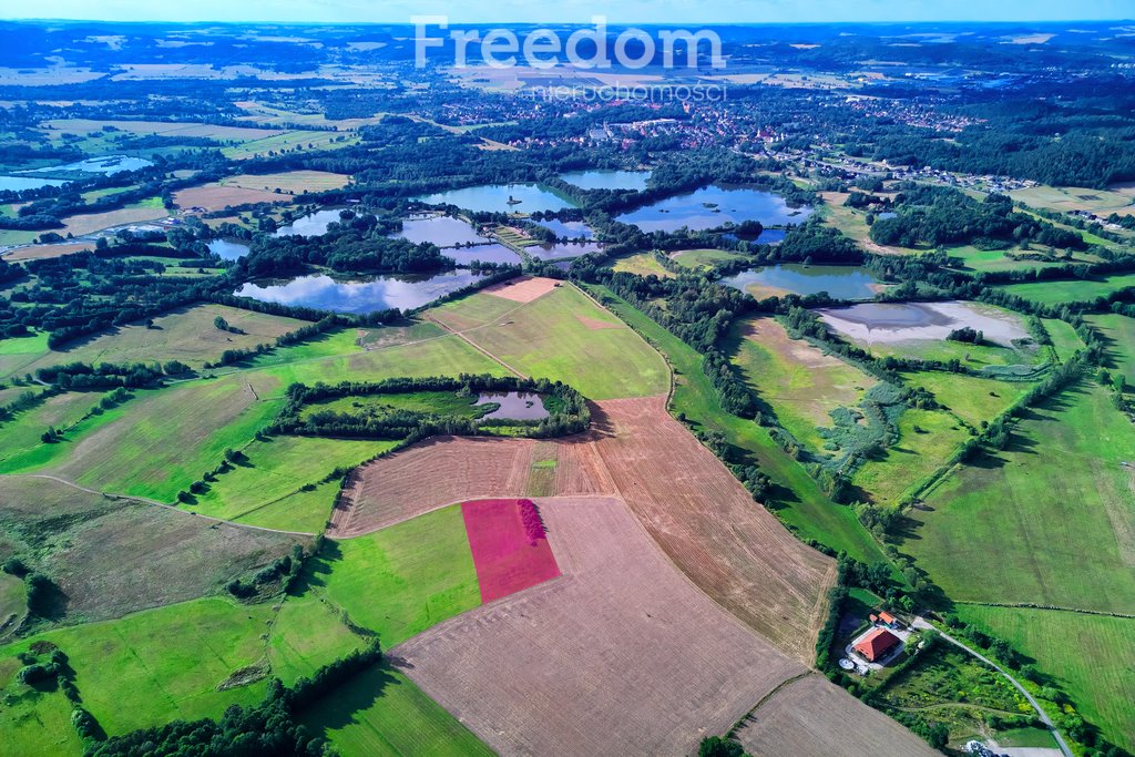 Działka siedliskowa na sprzedaż Podgórzyn  9 000m2 Foto 4