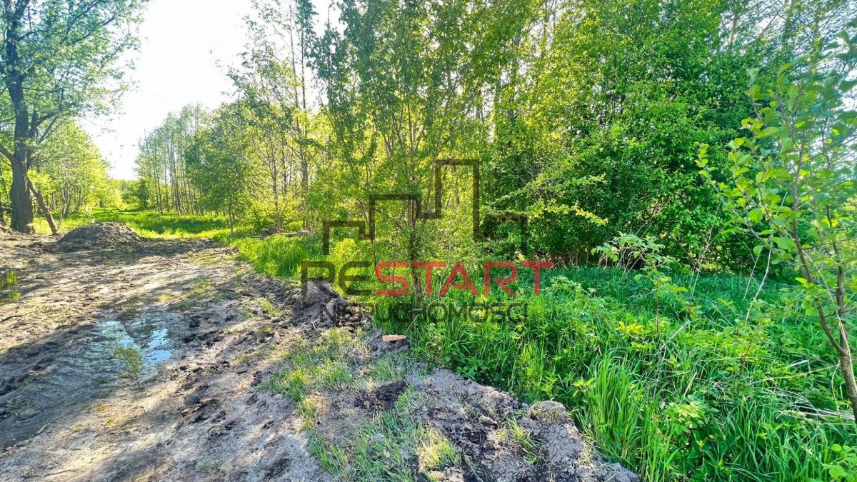 Działka budowlana na sprzedaż Budy Zaklasztorne  3 000m2 Foto 4