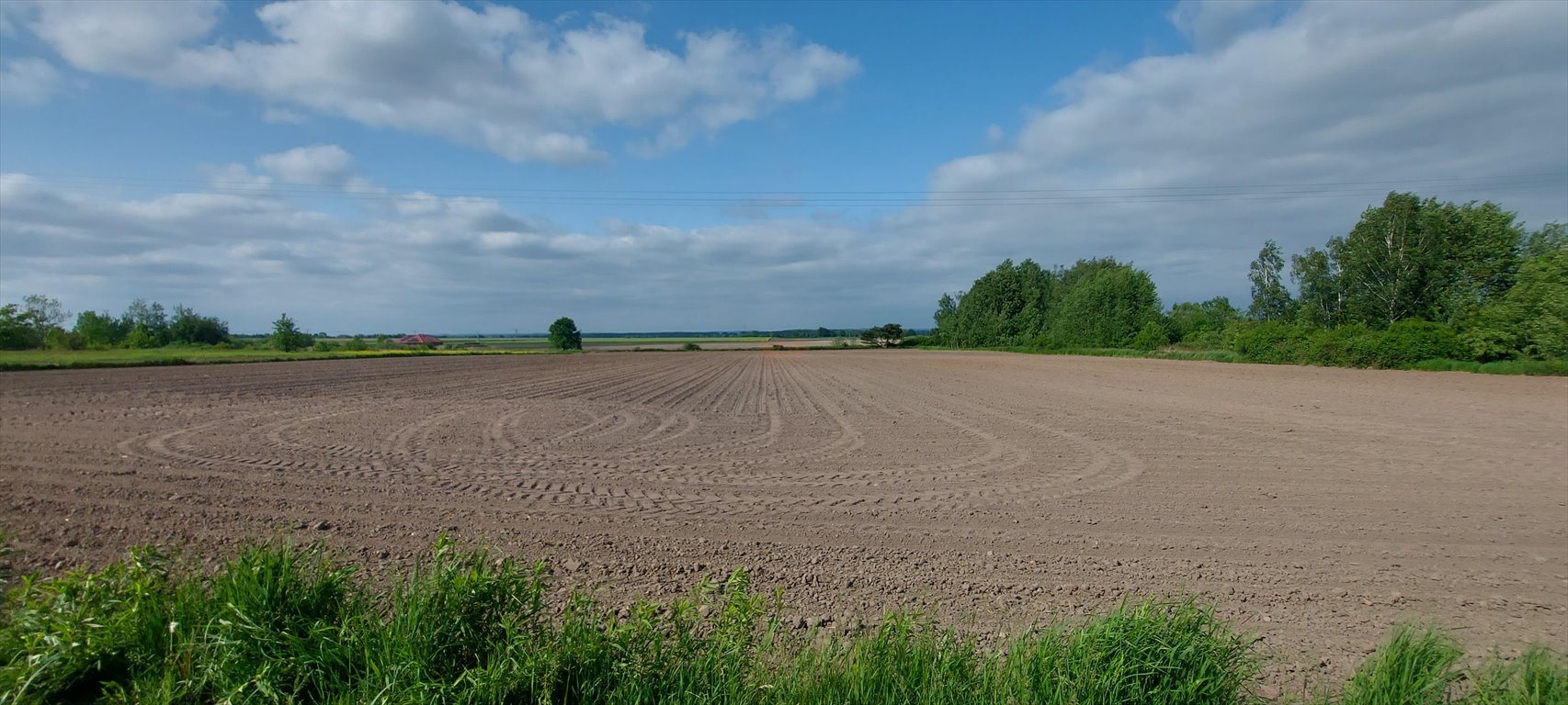 Działka budowlana w Wilkszynie z mediami i pięknym widokiem Wilkszyn, Wilkszyn  5 900m2 Foto 1