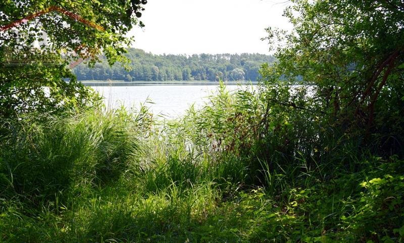 Działka inna na sprzedaż Gudowo  15 600m2 Foto 9