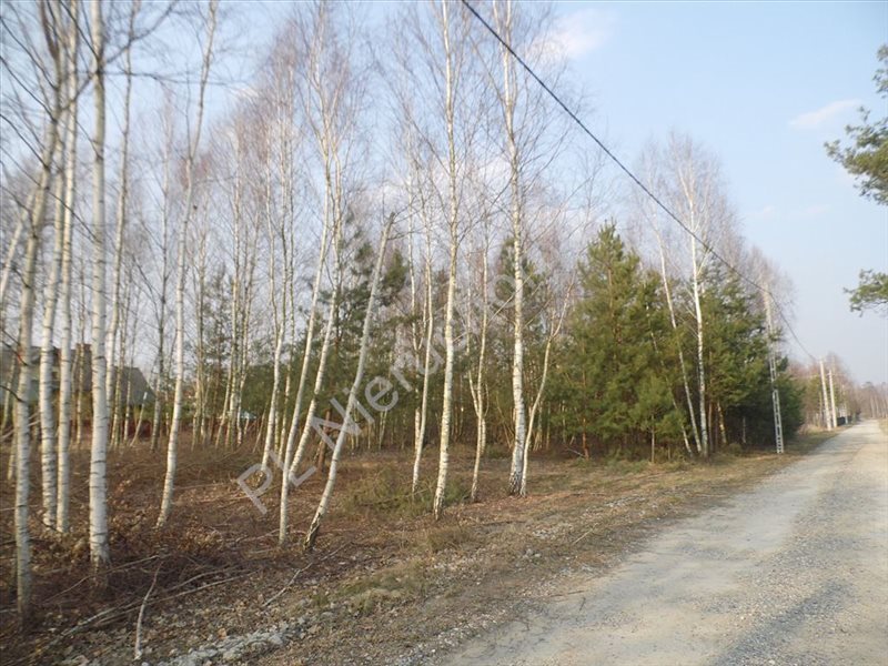 Działka budowlana na sprzedaż Szczęsne 1 500m2 Foto 1 Działka budowlana na sprzedaż Szczęsne 1 500m2 Foto 1