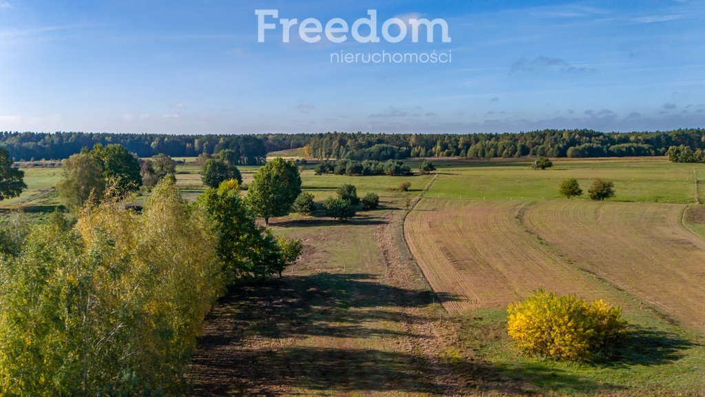 Działka budowlana na sprzedaż Borki, Błękitna  28 300m2 Foto 10