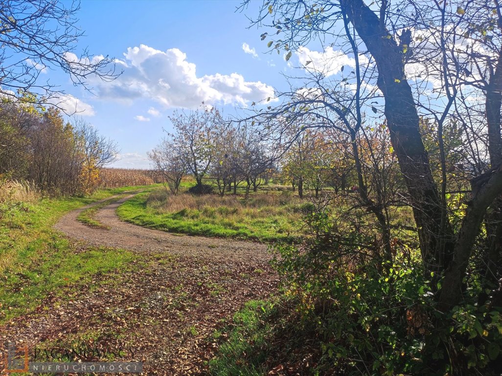 Działka budowlana na sprzedaż Trojanowice  2 600m2 Foto 1