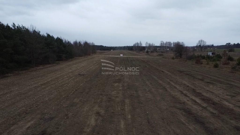 Działka budowlana na sprzedaż Michałów, Spokojna  5 400m2 Foto 6