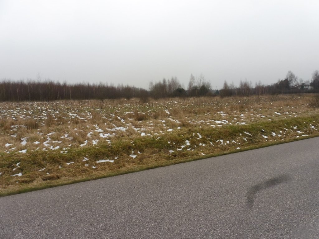 Działka rolna na sprzedaż Kowiesy  14 811m2 Foto 1