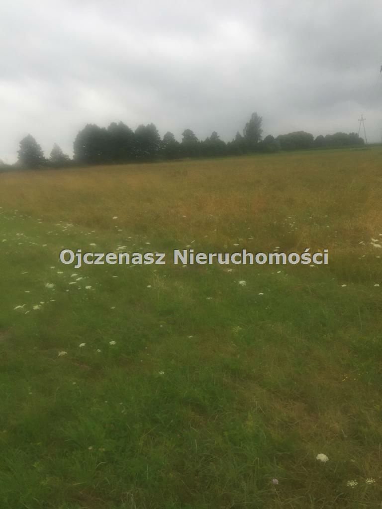 Działka rolna na sprzedaż Olimpin  12 100m2 Foto 2