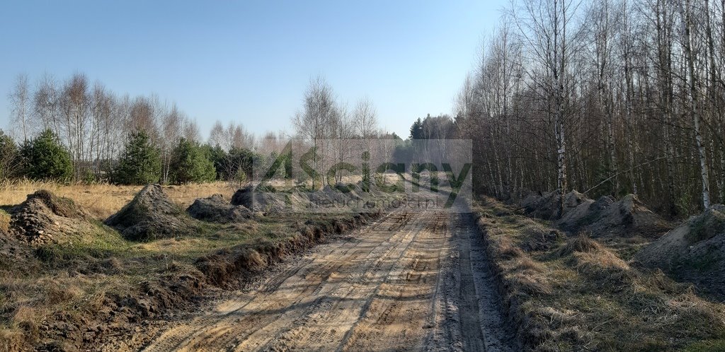 Polecam działkę 3000 m² pod rekreację, las 120 m Wycześniak  3 000m2 Foto 1
