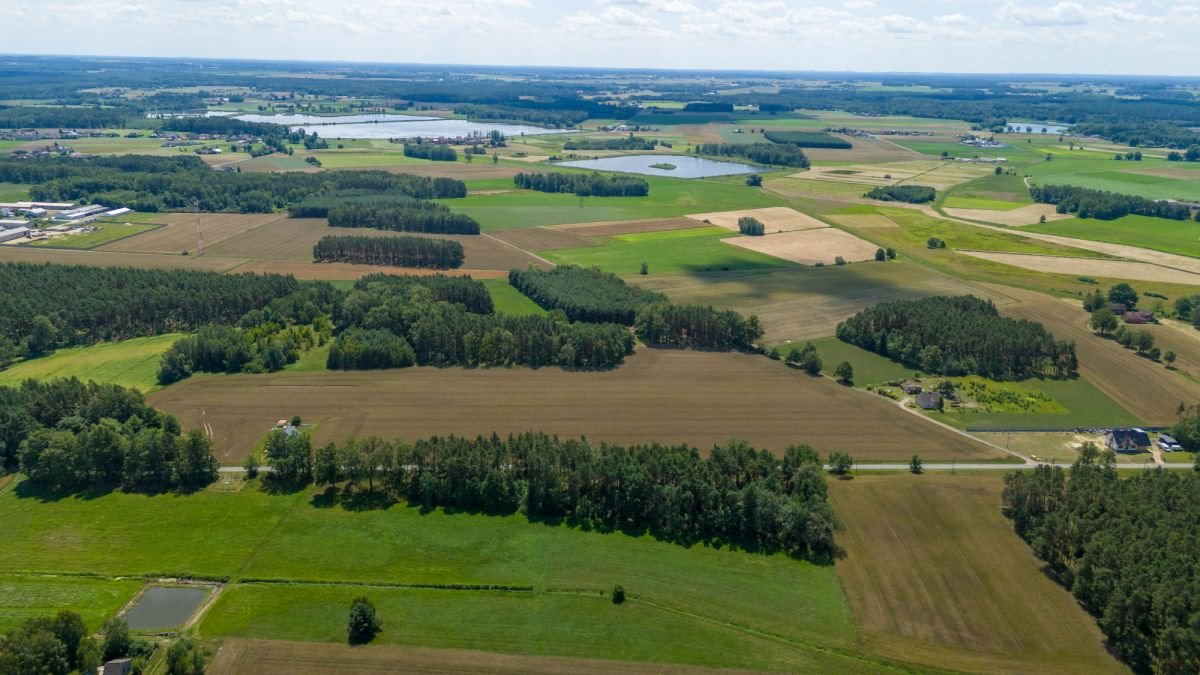 Działka budowlana na sprzedaż Zborowskie, Dolna  1 698m2 Foto 8