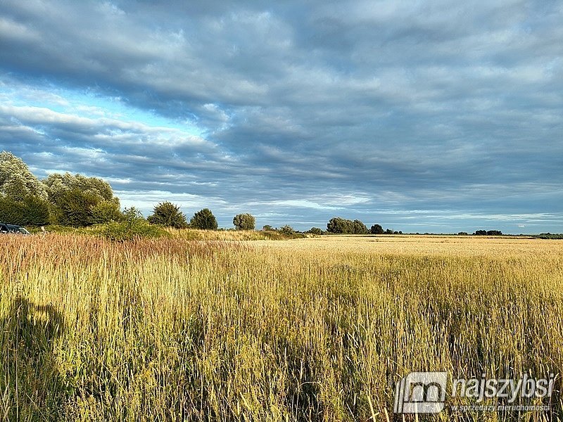 Działka rolna na sprzedaż Łupowo, Wieprzyce  2 352m2 Foto 14