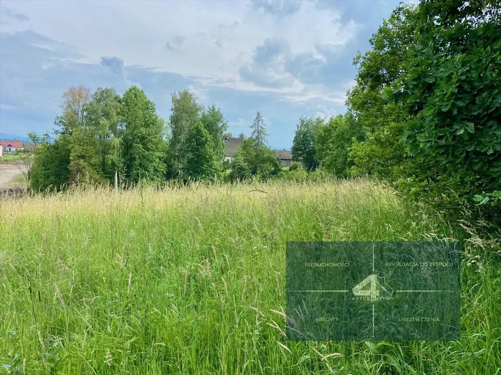 Działka budowlana na sprzedaż Łyczanka  2 500m2 Foto 5